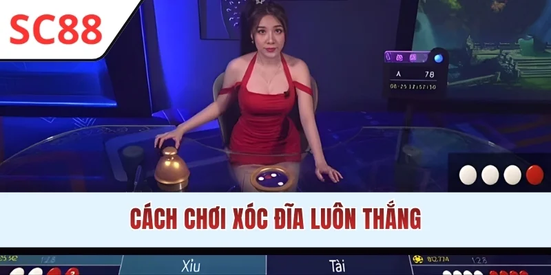 Cách chơi xóc đĩa luôn thắng