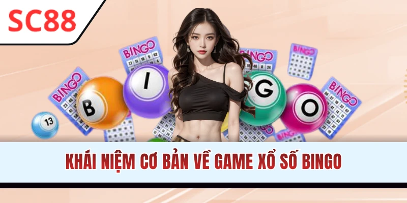 Tìm hiểu thông tin bộ môn xổ số Bingo